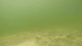 Underwater sandy lake bottom with glare from the water