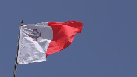 Anatomically Accurate Animation Turntable Human Pancreas Stock Footage ...