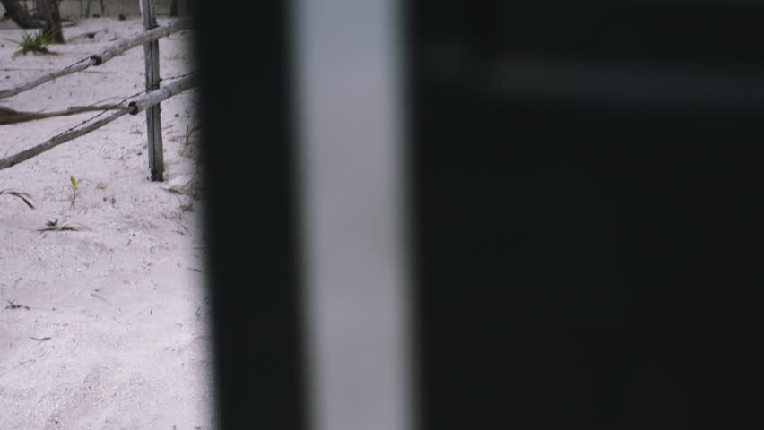 Girl entering running bus near beach