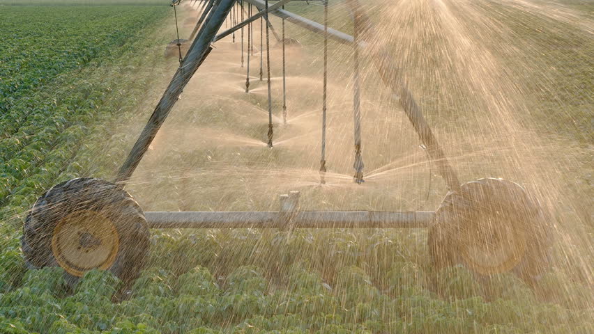 Soybean field with Irrigation system for water supply, 4K footage