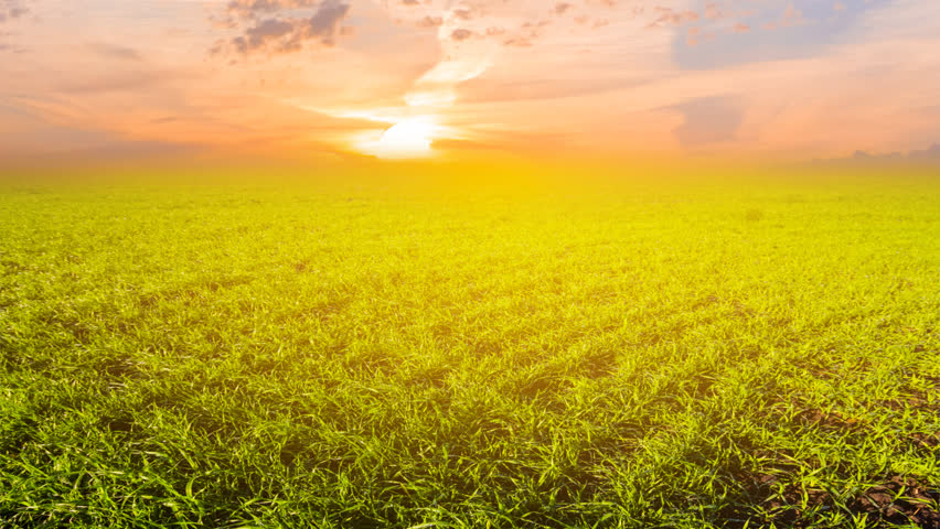 Sunset over a green fields | Shutterstock HD Video #11231951