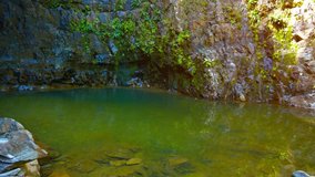 Natural pool of glassy. green water. lying at the base of a limestone cliff in a tropical wilderness.