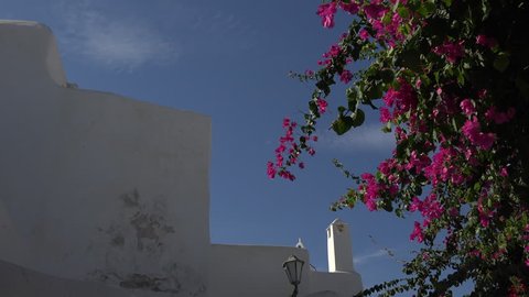 MYKONOS, GREECE - SEPT 2014: Mykonos Greece beautiful flowers white building 4k. Buildings architecture old Mediterranean and always whitewashed. Tourism nightlife, recreation  and tourism. Flowers.