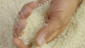 Rice grains in the hands. Man hands holding rice grain. Close-up 4k footage.
