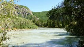 Picturesque beige mountain river Chua with  forest and mountains of Altai (Siberia) - Ultra hd 3840x2160