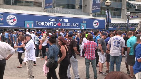 Toronto, Ontario, Canada August 2015 Toronto blue jays baseball fans at game during August 2015 winning streak
