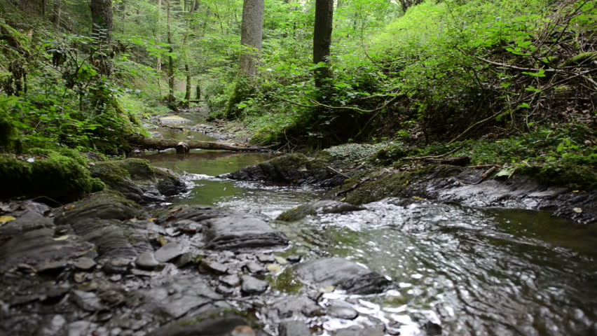 wild stream Brodenbach next to Mosel River. Waterfalls and stones. wild landscape. (Germany, Rhineland-palatinate)
