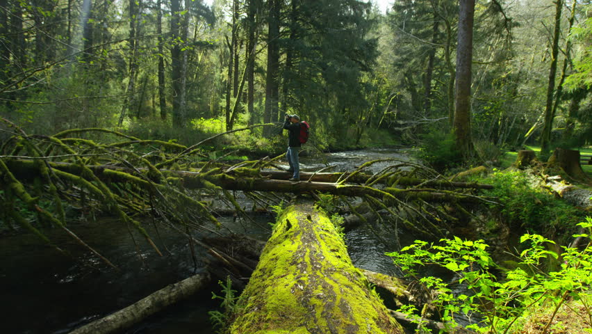 Backpacker taking photos in forest, Oregon