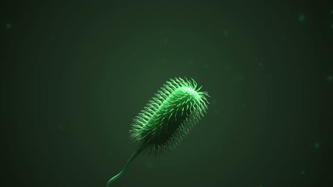 CGI animation showing two prokaryote bacteria with a flagellum 