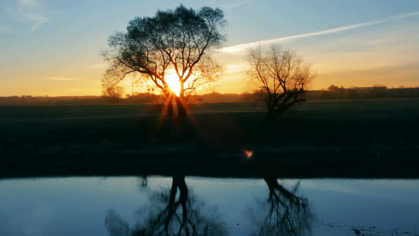 sunrise landscape with tree and lake - timelapse