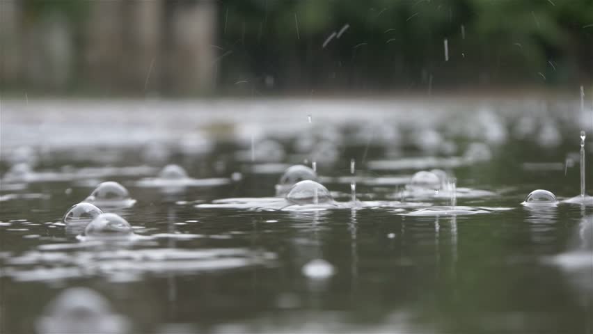 Heavy rain in 4 k, 30 fps.Raindrops falling on the water surface,puddle close up,low angle view,shallow depth of field.Natural disasters,flood,devastation,bad weather,meteorology,rain falling,droplet. Royalty-Free Stock Footage #11339900