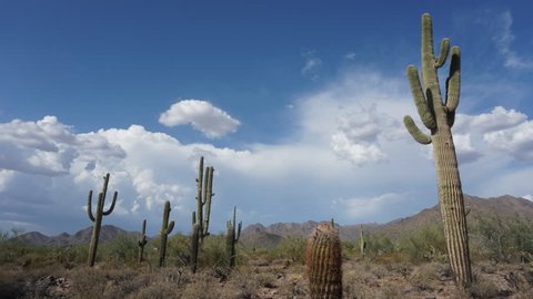 Timelapse video of beautiful desert scenery as clouds swirl around mountain
