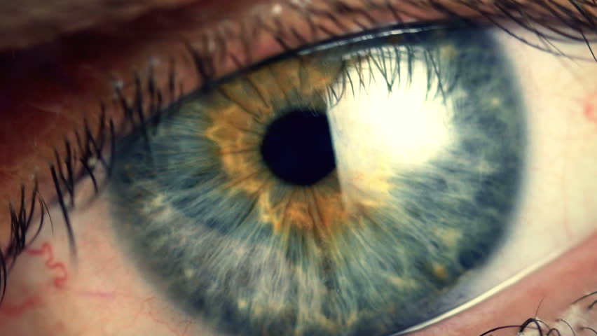 Human eye iris contracting. Extreme close up. | Shutterstock HD Video #11349275