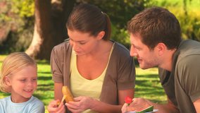 Attractive family eating fruits for dessert during a picnic