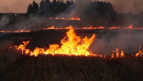Video burning dry grass field