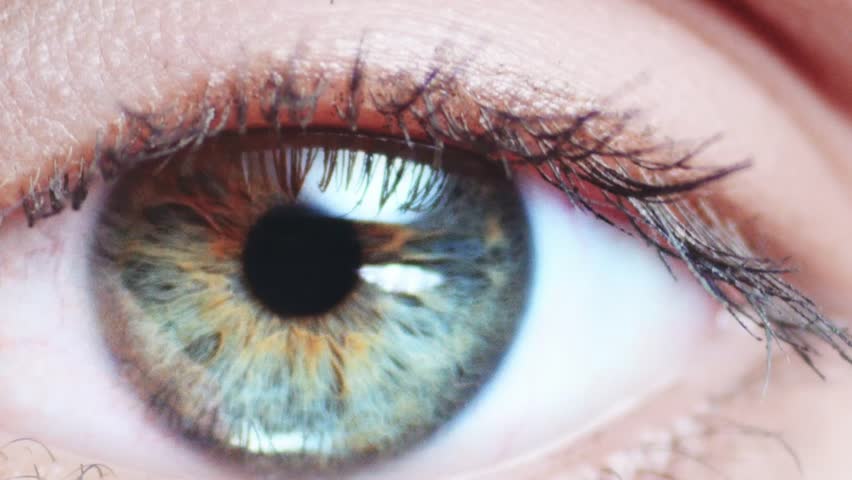 Macro Close Up Eye Blinking Slow Stock Footage Video 100 Royalty Free 11370305 Shutterstock 0518