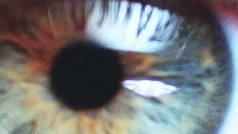 Macro Close-up eye blinking. Slow Motion, 120 fps, Zoom. Young Woman is opening and closing her beautiful eye. 