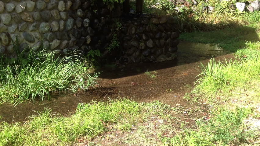 Small river flowing around stone basement of water mill, Japan