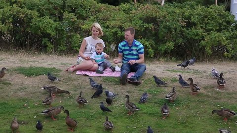Family feeding birds on the lake