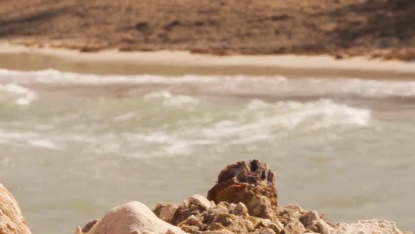 Tropical Caribbean beachfront hotel located in Montego Bay, Jamaica