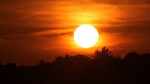 Fast and firey orange summer sunset. Time lapse. Sun sets behind tree. Muskoka, Ontario, Canada. 
