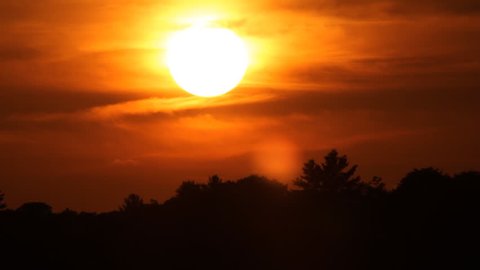 Mellow and fire orange summer sunset. Time lapse. Sun sets behind tree. Muskoka, Ontario, Canada. 
