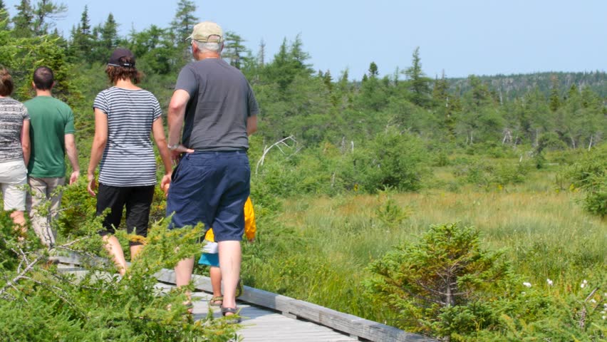 A family walking through a nature reserve in a park on a wood boardwalk over a swamp