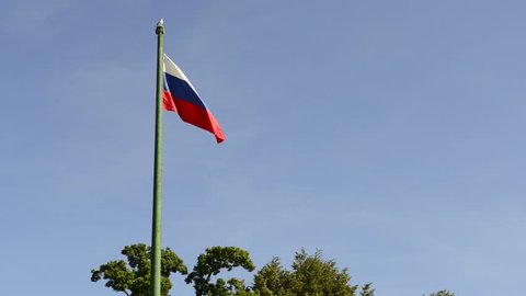 Russian flag swaying with the wind and a seagull sitting on the flag pole