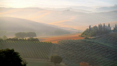 Early morning on countryside, San Quirico d´Orcia, Tuscany, Italy