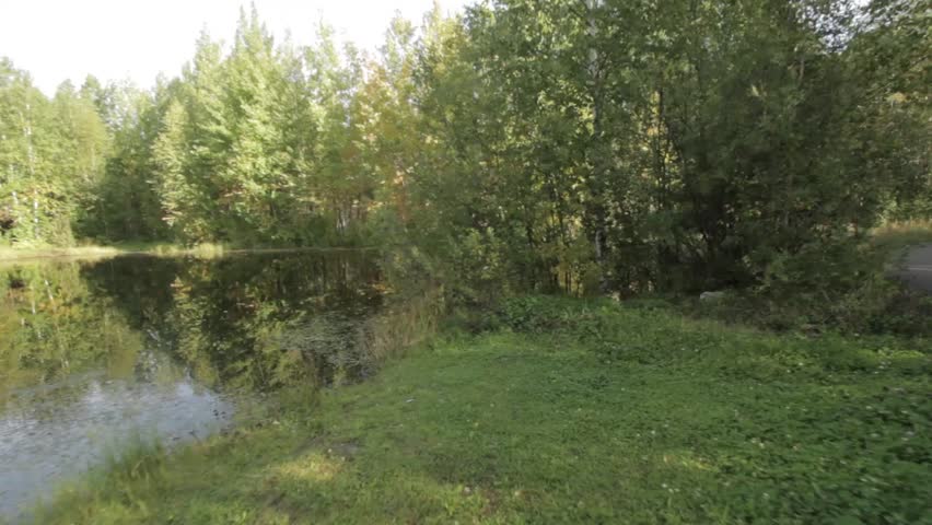 Walking in a forest near the lake  