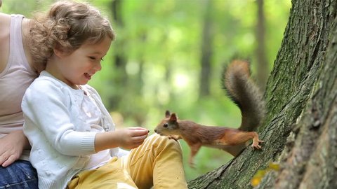 A cute little girl feed the red squirrels in the Park.