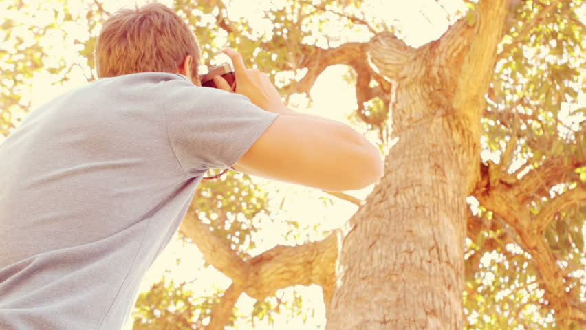 Handsome man taking a picture of tree in slow motion