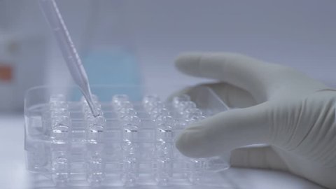 Scientist prepares laboratory samples. Scientist working in laboratory prepares samples on petri dish