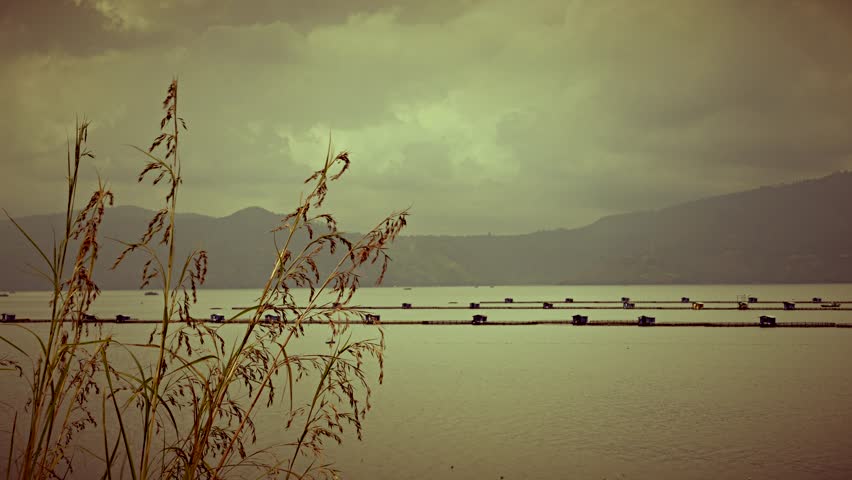Lake Toba view with long grass and fishing cages. Retro look. 4K resolution