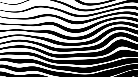 4k Zebra Line Movement Animation Background Seamless Loop. Stock Video