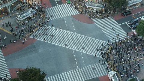 Time lapse famous Shibuya (Tokyo) cross-walk from high above (rare view) at sunset. (29.97fps)