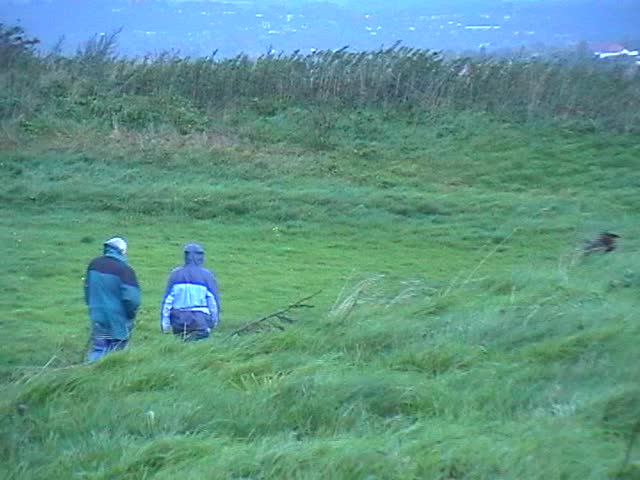 Couple walking, early morning