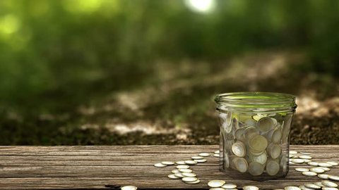Plant growing from money jar. Concept of financial investment. 4k footage.
