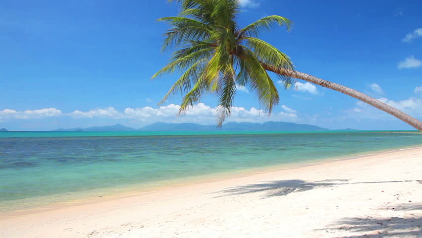 tropical beach online tcg