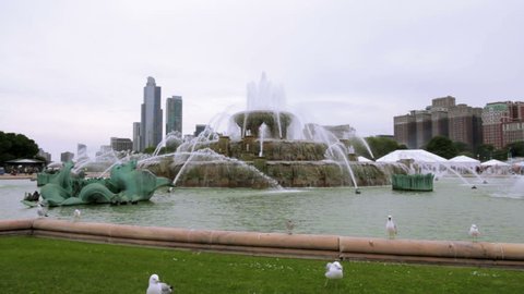 City Fountain with Seagulls