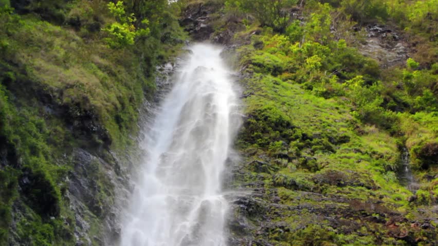 A beautiful jungle waterfall