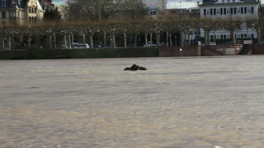 Tree trunk floating on the river