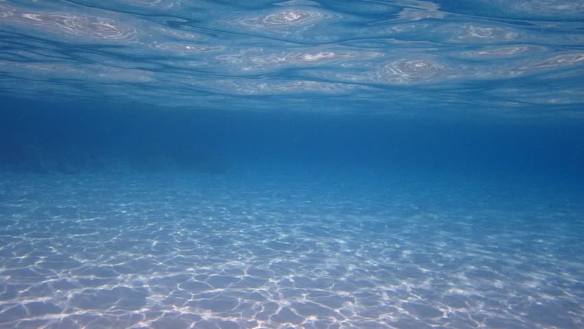 underwater world crystal clear blue water Stock Footage Video (100%