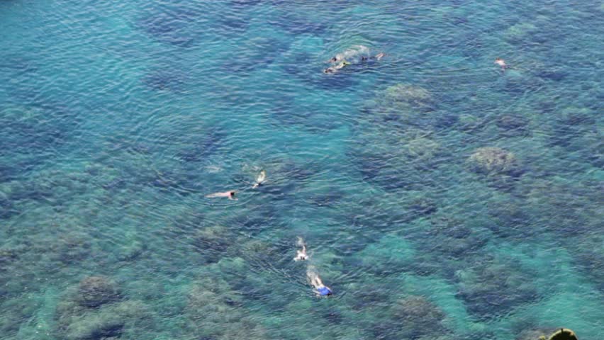 Snorkeling off of the tropical island of Kauai, Hawaii