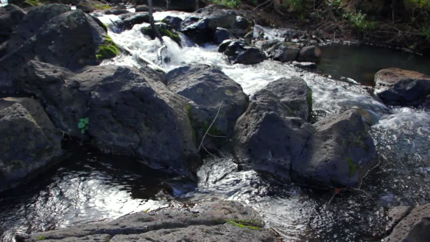 A beautiful stream