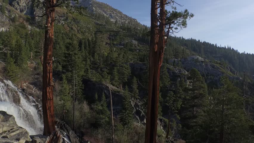 Flying toward and down a Redwood tree with a waterfall in the background.