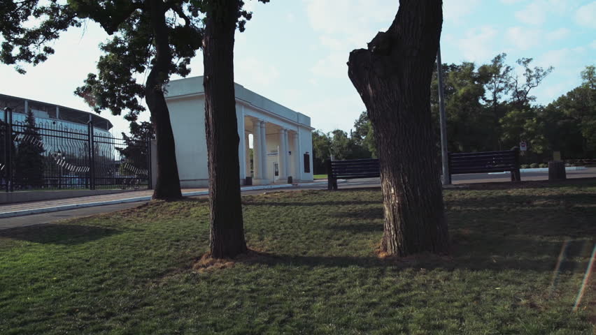 portrait of a smiling female student sitting under the tree in the park slow motion