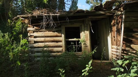 An abandoned decaying cabin sits in a overgrown forest in rural Nevada.
