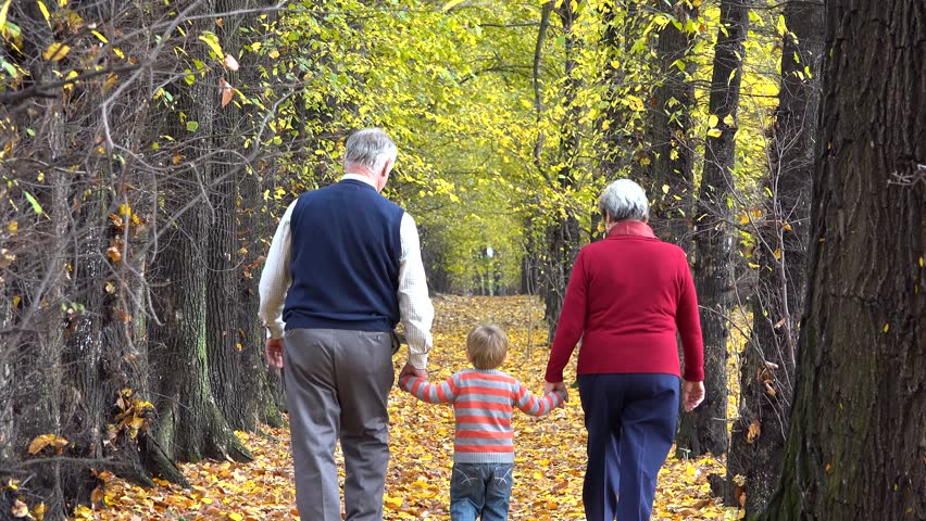 Happy grandparents and little grandchild holding hands walking on autumn alley Royalty-Free Stock Footage #11630579