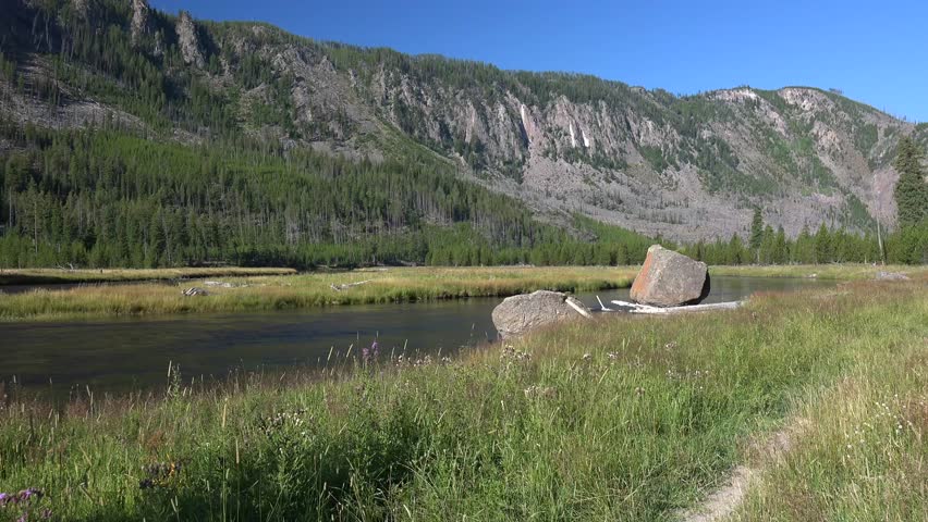 Yellowstone National Park, Madison River, flowers, beautiful quiet river